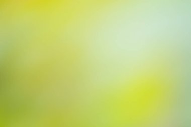 Yeşil arka plan bulanık. Yeşil bokeh odak yeşillik arka plan dışarı. Taze yeşil biyo soyut arka plan bulanık.