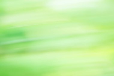 Soyut Yeşil bokeh hareketli arka plan. Hareketli ışık bokeh arka plan.