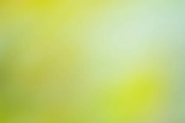 Зелений Розмитий Фон Зелений Боке Фону Листя Свіжий Зелений Біологічний — стокове фото