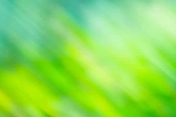 Natuur Abstracte Groene Bokeh Groene Bokeh Uit Focus Achtergrond Abstracte — Stockfoto