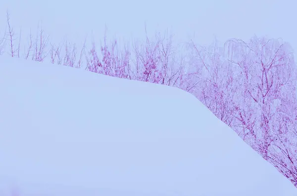 Vinter Tak Abstrakt Suddig Bakgrund Vinter Tak Trädgården Bakgrunden Med — Stockfoto