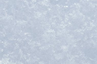 Taze kar kapak kapatmak. Noel arka plan. Karlı kış manzarası