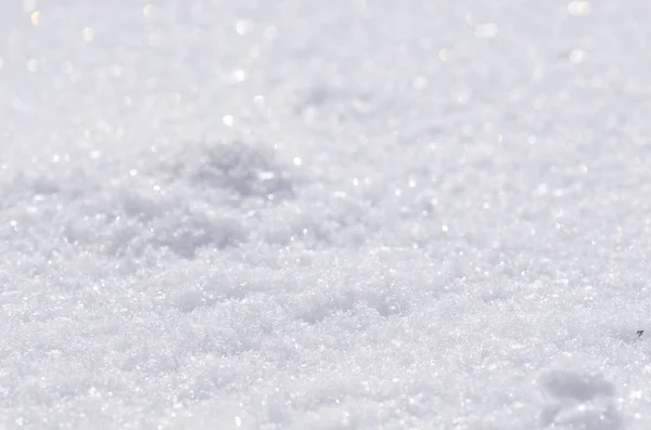 新鲜的雪盖特写镜头 圣诞节抽象的背景 冬季雪景 — 图库照片