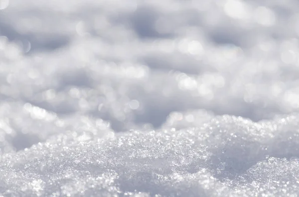 Background of fresh snow texture. Snow white surface. Snow texture  photo