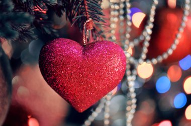 Noel pembe kalp ağaç dalları üzerinde. Köknar ağacı dalı pembe kalp dekorasyonu ile