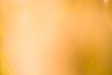 Noel ışıltılı bokeh yıldız arka plan