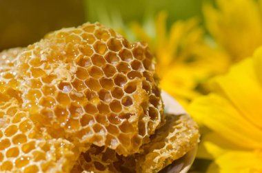 Ahşap arka planda taze petekler