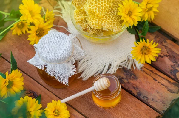 Olla de miel, cazo, tarro de miel fresca, panal en una mesa de madera al aire libre — Foto de Stock