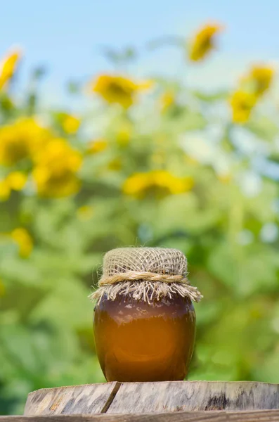 Honung i fält av vildblommor — Stockfoto