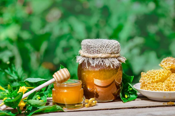 Miel dulce, trozos de peines y cazo de miel sobre fondo borroso del jardín — Foto de Stock