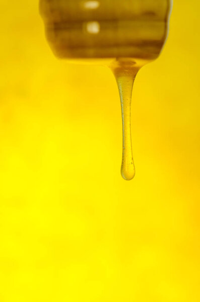Stream of pouring honey. Honey flowing from a wooden honey spoon