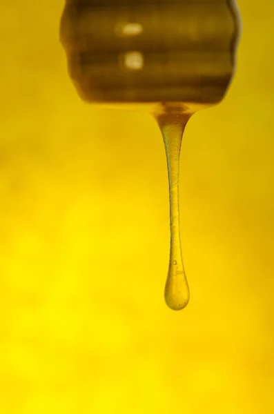 Strömmen Honung Flödar Ström Honung Honung Från Träslev Hälsosam Kost — Stockfoto