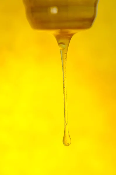 Atirar Mel Dourado Salpicos Mel Laranja Queda Fluxo Mel — Fotografia de Stock