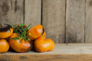 Taze olgun organik bahçe domatesleri Masada Güzellik Kralı. Masada boş alan.
