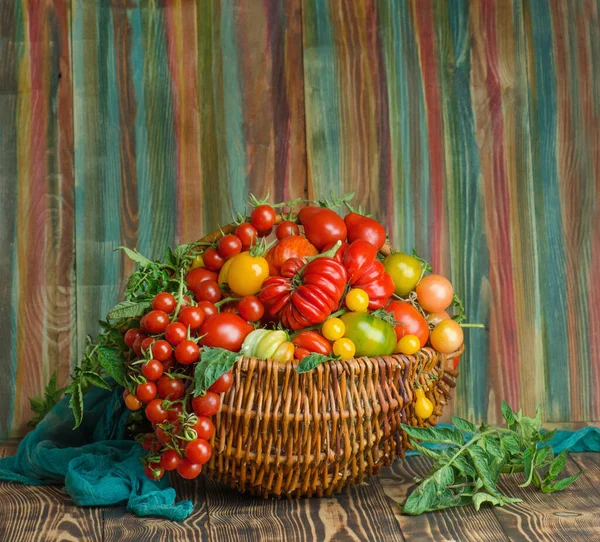 Cesta Vime Com Vários Vegetais Coloridos Tomates Vermelhos Frescos Cesta — Fotografia de Stock
