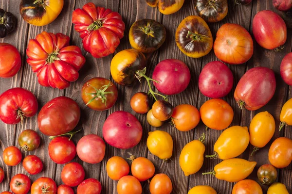 Pomodori Biologici Sani Uno Sfondo Legno Pomodori Assortiti Fondo Rustico — Foto Stock