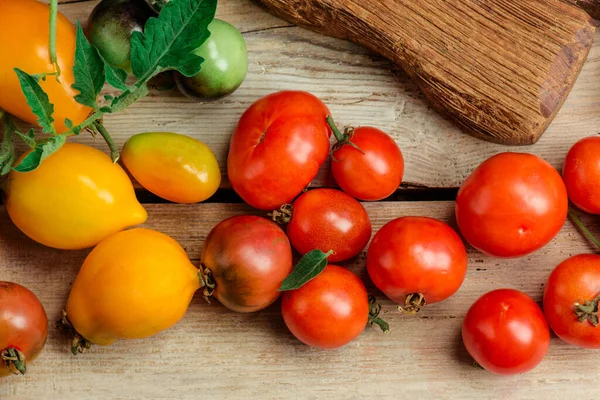 Oogst Van Mix Tomaten Verschillende Kleurrijke Tomaten Tomaten Zijn Verschillende — Stockfoto