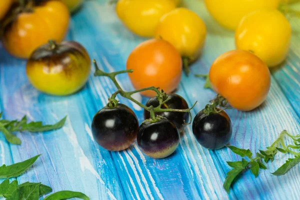 Grupo Tomates Frescos Bonito Maduro Diferentes Variedades Tomates — Fotografia de Stock