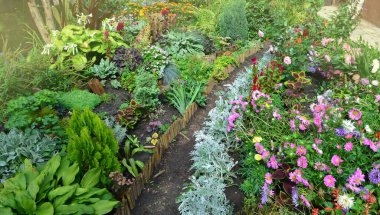 Sonbahar bahçesinde yürüyüş yolu. Güzel bir bahçede renkli sonbahar bitkileri. Sonbahar güzel çiçekler