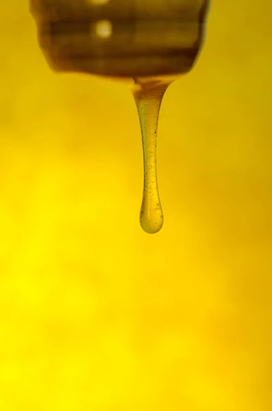 Жидкий Поток Сладкого Янтарного Цветка Течет Медом Жидкий Вязкий Поток — стоковое фото