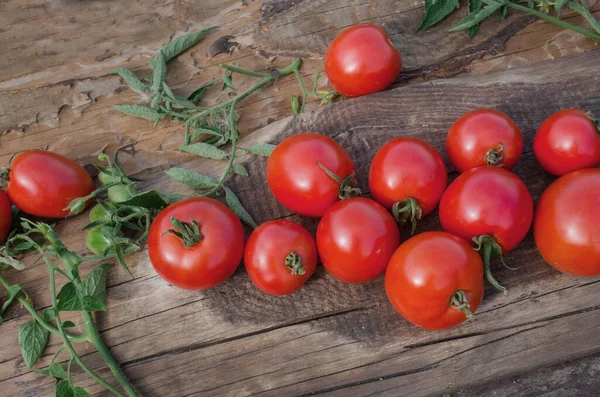 Fresh cherry tomatoes. Fresh ripe organic tomatoes. Cherry tomatoes on the vine
