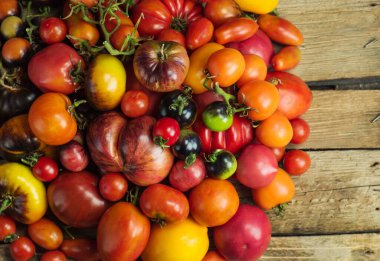 Eski ahşap domates. Koyu ahşap zemin üzerinde taze büyük ve küçük domatesler..