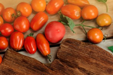Bir grup taze domates. Güzel olgun farklı domatesler..