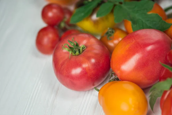 Υγιή Βιολογικά Λαχανικά Ξύλινο Φόντο Νωπές Ώριμες Ντομάτες Βιολογικού Κήπου — Φωτογραφία Αρχείου
