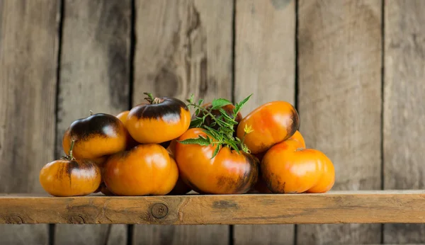 Natuurlijke Sappige Tomaten Beauty King Met Bladeren Oude Retro Vintage — Stockfoto