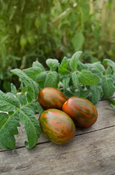 Tomatoes Wooden Table Heap Fresh Tomatoes Sweet Tooth Wooden Table — Stock Photo, Image