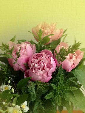 Bir buket taze pembe şakayık. Şakayık buketi yumuşak bir şekilde çiçek açar..