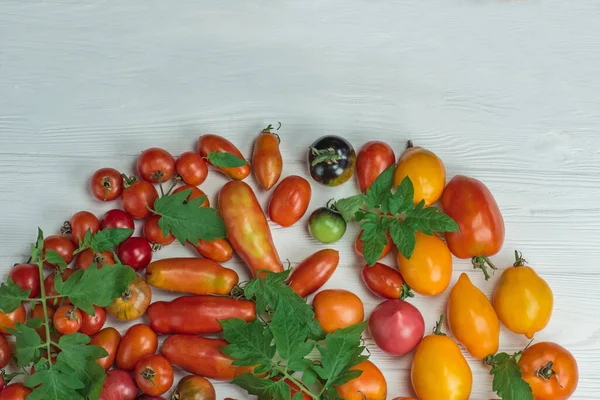 Tomaten Houten Ondergrond Ruimte Voor Tekst Biologisch Groen Rood Geel — Stockfoto