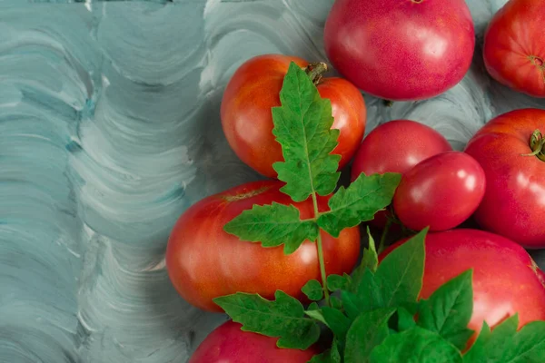 Variedades Tomate Têm Nome Dwarf Firebird Doce Tomate Fresco Carne — Fotografia de Stock