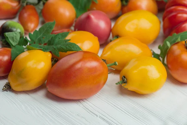 Colheita Tomates Variados Variedade Madura Natural Orgânica Deliciosos Tomates Diferentes — Fotografia de Stock