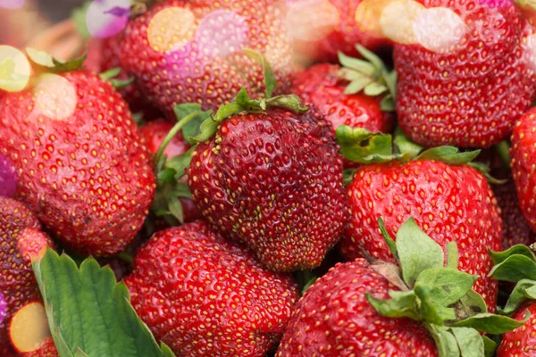 Group of strawberry. Strawberries with strawberry leaf. Fresh strawberries fruits