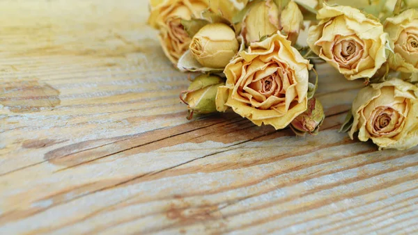 Rosas Secas Fundo Madeira Velho Conceito Flores Mortas Transição Juventude — Fotografia de Stock