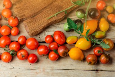 Bir grup taze domates. Güzel olgun farklı domatesler..