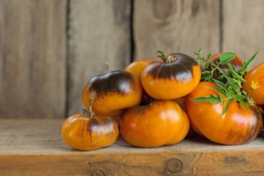 Taze olgun organik bahçe domatesleri Masada Güzellik Kralı