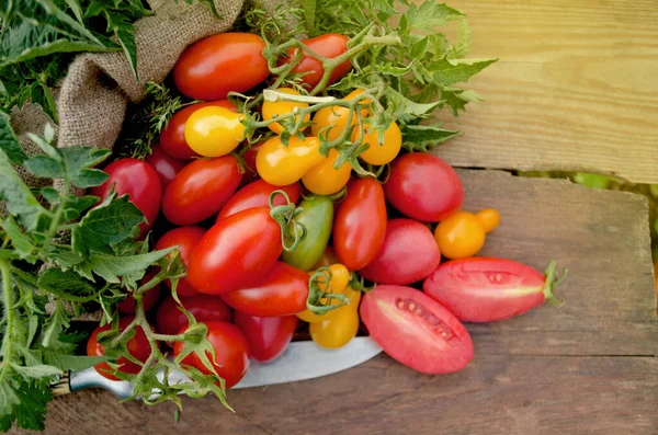 Pomodori Biologici Sani Uno Sfondo Legno Pomodori Assortiti Fondo Rustico — Foto Stock