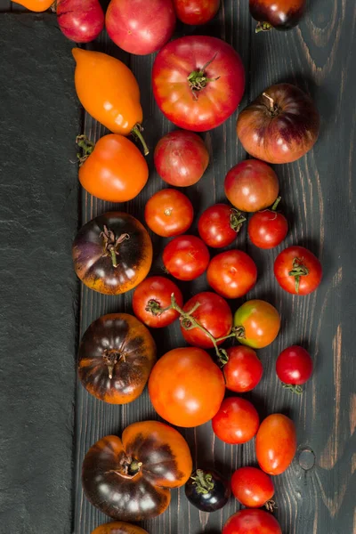 Meng Tomaten Achtergrond Verschillende Soorten Tomaten Zomerdag Verschillende Soorten Geassorteerde — Stockfoto