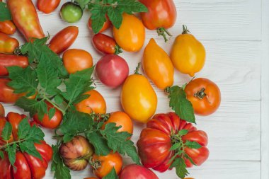 Tahta masadaki taze olgun domatesleri kapatın. Beyaz ahşap yüzeyde domatesler