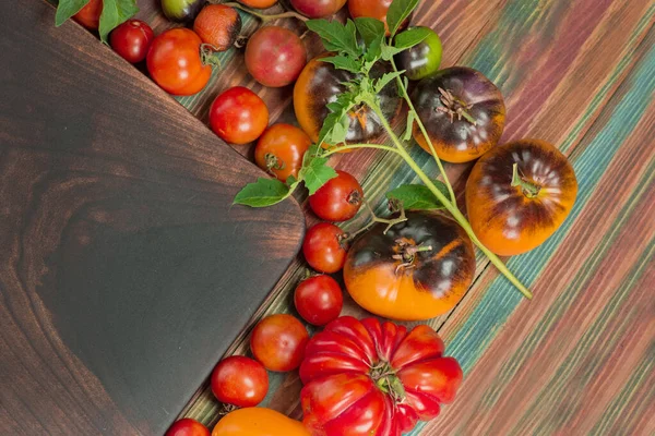 Variedade Tomates Naturais Deliciosos Orgânicos Maduros Legumes Frescos Sazonais Cultivados — Fotografia de Stock