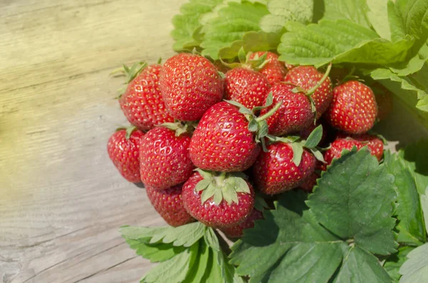 Frische Saftige Bio Erdbeeren Frische Reife Köstliche Erdbeeren Auf Holzgrund — Stockfoto
