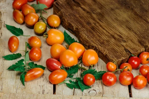 Grupo Tomates Frescos Hermosa Madura Diferentes Variedades Tomates — Foto de Stock