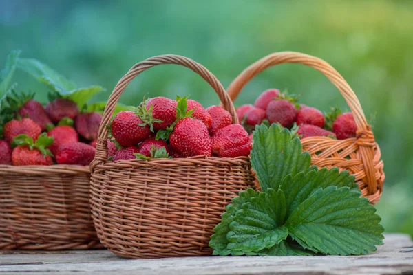 Fresas Rojas Maduras Mercado Agricultores Fresas Frescas Mercado Local Agricultores — Foto de Stock