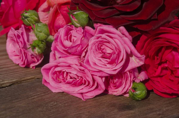 Arranjo Composição Rosas Multicoloridas Muitas Cores Rosas Rosas Mistas Arranjo — Fotografia de Stock