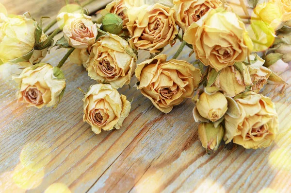 Rosas Secas Sobre Fondo Madera Viejo Concepto Flores Muertas Transiencia —  Fotos de Stock
