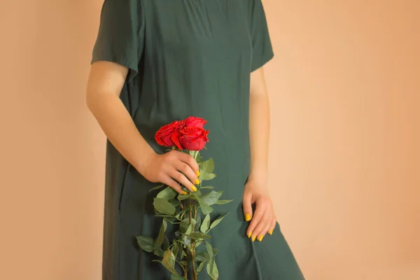 有一束红玫瑰的女孩 浅米色背景的女子手中的春天红玫瑰束 — 图库照片
