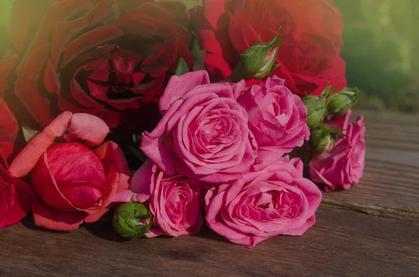 Misto Rosas Coloridas Plena Floração Beleza Rosas Flores — Fotografia de Stock