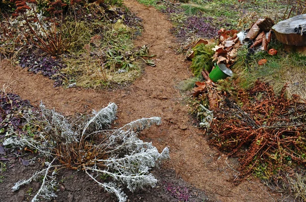 Színes Őszi Sziklakert Sok Virággal Dísznövények Zöld Kertben Kerti Tájtervezés — Stock Fotó